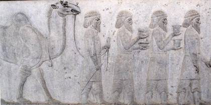 File:13 bactrians.jpg