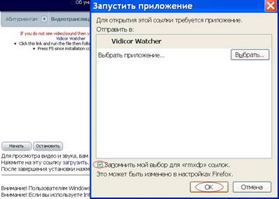 Vid06.JPG