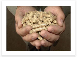 C:\Documents and Settings\Feduleeva\��� ���������\��� �������\pellets_hand.jpg