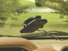 convention_images/fatogo_images/fatgo_windshield