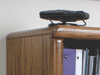convention_images/fatogo_images/fatgo_bookshelf
