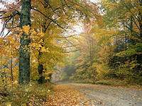 C:\Users\���\Downloads\i (23).jpg