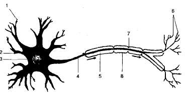 http://sbio.info/images/tmp61-2.jpg