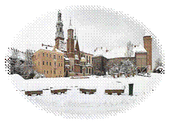 C:\Users\�������������\Desktop\wawel-winter2.gif