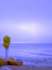 C:\Users\User\Desktop\0_2b24_ccdfed65_L.jpg