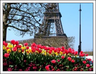 http://feerie.com.ua/files/u79/pariseifeltowersmall3.jpg