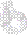 C:\Documents and Settings\�������������\������� ����\nuk\.png
