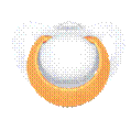 C:\Documents and Settings\�������������\������� ����\nuk\NUK_Genius_Silicon_Orange_small.png