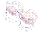 C:\Documents and Settings\�������������\������� ����\nuk\NUK_RB_Silicon_2Rose_small.png