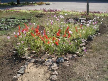 D:\�\����\�������\�������\�������\SDC12487.JPG