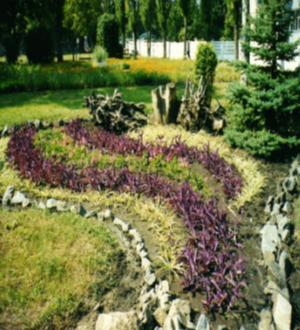 img 0011021