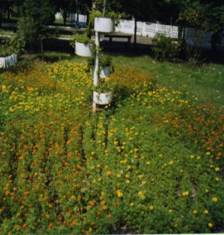 img 0011025