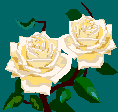 Опис : j0281904
