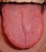 ���� : 180px-Tongue