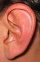 ���� : 180px-Ear