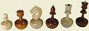 ���� : chess_figur_nev
