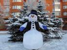 Опис : picture
