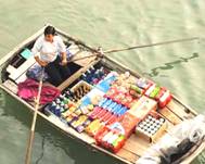 mekong-delta