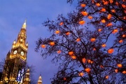 http://universe.kiev.ua/upload/tour/cfe/Christkindlmarkt%20at%20City%20Hall,%20Vienna,%20Austria,%20Europe_yrehg.zsrxcx.jpg