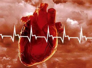 http://img.tyt.by/321x240c/n_title/n/medicina/06/7/serdce.jpg