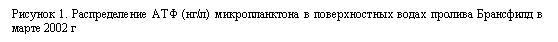 �������: