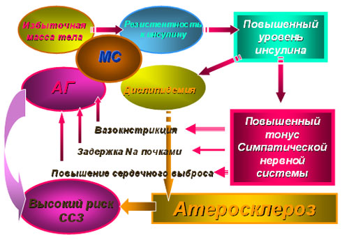 http://*****/img/userimg/smi/press/patogenez.jpg