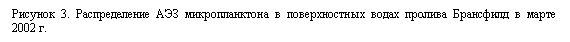 �������: