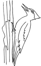 C:\Users\Mirik\Downloads\044_3.gif