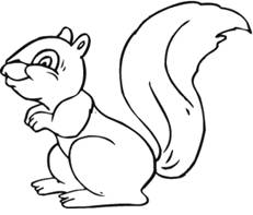 C:\Users\Mirik\Downloads\wiewiorka-stoi-na-dwoch-lapach.png