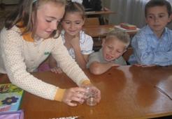 IMG_5292.jpg