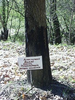 http://2.bp.blogspot.com/_u3gwkT27Z4s/TFMtMUiTihI/AAAAAAAAAjc/NBF9JiDVJBo/s320/presniakov_vert25.jpg