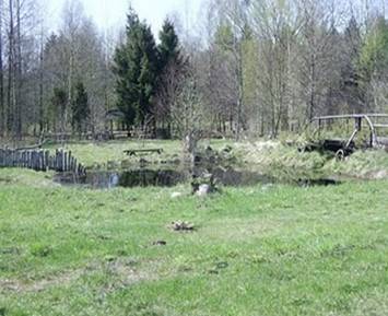 http://4.bp.blogspot.com/_u3gwkT27Z4s/TFMt5oDcbNI/AAAAAAAAAj0/ICgP_KyfFGw/s320/presniakov_hor32.JPG