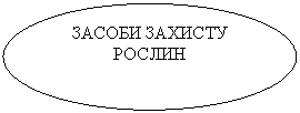 ����: ������ �������

������



