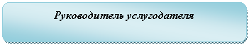 Скругленный прямоугольник: Руководитель услугодателя