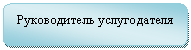 Скругленный прямоугольник: Руководитель услугодателя