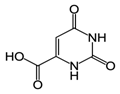 ����:Orotic-acid-2D-skeletal.png