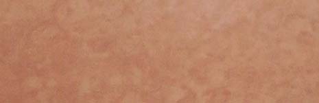 Closeup sample: Tadelakt