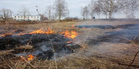 ЗВЕРНЕННЯ ДО ГРОМАДЯН ФАСТІВЩИНИ