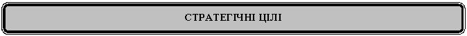 Скругленный прямоугольник: СТРАТЕГІЧНІ ЦІЛІ
