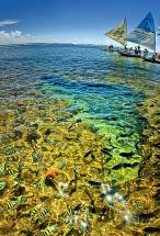 Ilha Grande.png