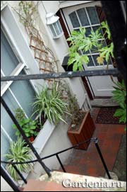 http://gardenia.ru/pages/i/sady0691.jpg