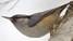 http://t0.gstatic.com/images?q=tbn:ANd9GcTeEHFLLe4DvVfZbgxCt_Qf-4Sy-79GdQpo-7Z_38O0hHSPFhEy_Q