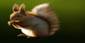 http://t0.gstatic.com/images?q=tbn:ANd9GcS0lYf70rE9SyfBbqmEy1RqbycX87AT78zw7Sb1zZyaZ7_8gA5aVw