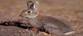 http://t0.gstatic.com/images?q=tbn:ANd9GcRLqEdjXbk7wFxQyGo8-HjBF6IJNShipZQ8ppJWRy9o9wl5xU-Dlw
