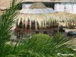 Sultana Charm Life Resort 3*
