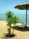 Sultana Charm Life Resort 3*