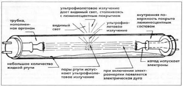 http://www.vezm.ru/images/vezm05_files/vezm05-204.jpg