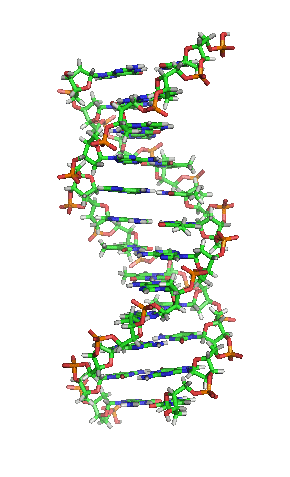 http://riverflow.ru/images12/Nefilim-returns/dna.gif