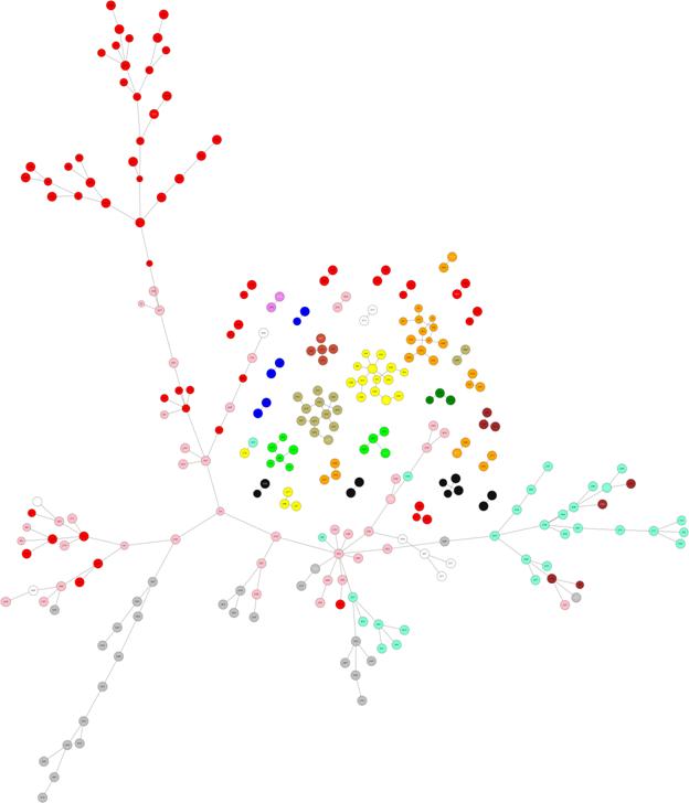 D:\��\������\�����������\�������\Mirkin\35trees_31medians.png