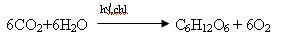 http://festival.1september.ru/articles/565773/img2.gif